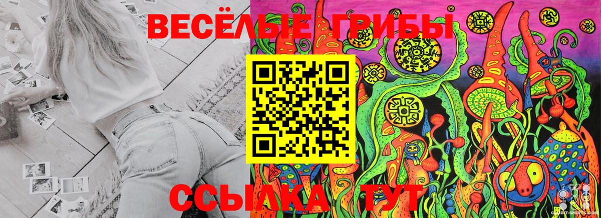 Псилоцибиновые грибы мухоморы  Псилоцибиновые грибы Magic Shrooms  Вход с VPN  Медногорск 